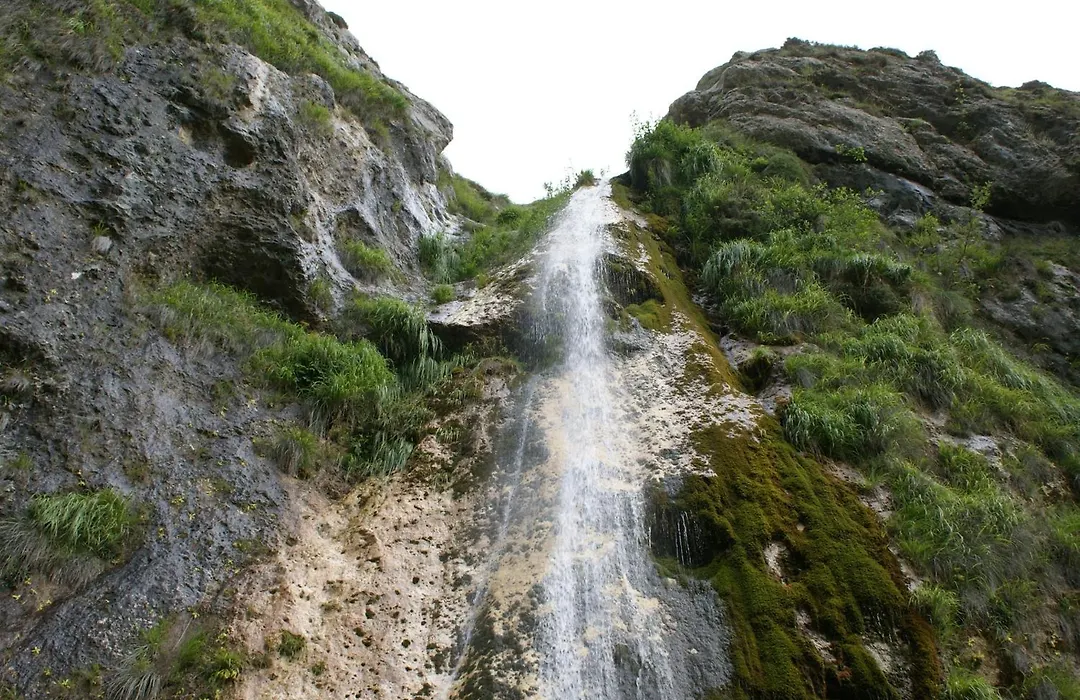 El Serenal-1